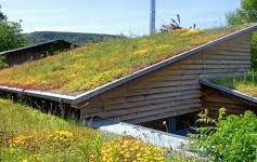 Renewable Roof Systems